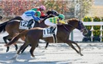 【チャンピオンズＣ】中京ダートは前日から差し有利　決め脚あるウィルソンテソーロが３度目の正直か