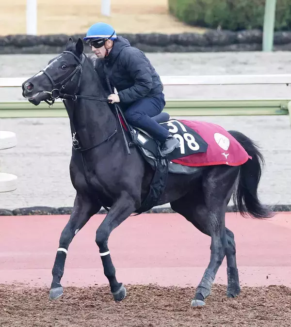 【ＰＯＧ】セレクト１・７億円馬ダノンミッドナイトが２７日デビュー　陣営「追い切りではそれなりに動けている」