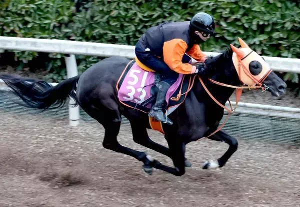 【ＰＯＧ】母がファンディーナのクリスレジーナが１８日デビュー　高野調教師「母親に似ているところもあるし楽しみ」