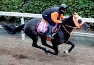 【ＰＯＧ】母がファンディーナのクリスレジーナが１８日デビュー　高野調教師「母親に似ているところもあるし楽しみ」