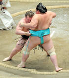 「安青錦が勝ち、熱海富士との優勝決定戦へ　琴桜に勝利　２０年ぶりの新大関優勝へあと１勝」の画像1