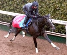 【京都記念】菊花賞２着のエリキングは不良の坂路でも軽快　中内田調教師「さらなる飛躍を期待」