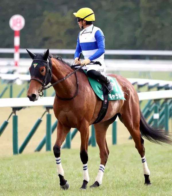 【クイーンＣ】９着に沈んだ１番人気のギャラボーグ　杉山晴紀調教師「調教で分からない部分が出ました」