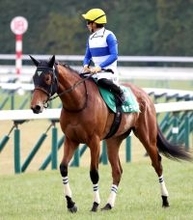 【クイーンＣ】９着に沈んだ１番人気のギャラボーグ　杉山晴紀調教師「調教で分からない部分が出ました」