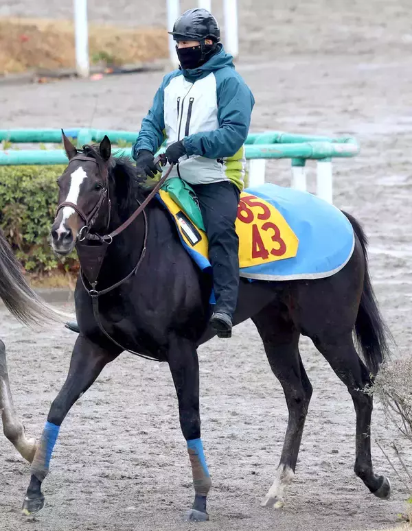 【中山牝馬Ｓ】重賞で連続２着中アンゴラブラックが重賞初Ｖへ　尾関調教師「高い状態でキープできています。条件は合う」