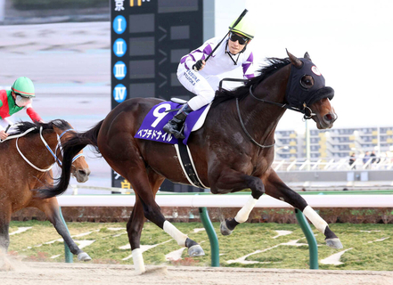 ２４年のフェブラリーＳ優勝　ペプチドナイルが競走馬登録を抹消　今後はアロースタッドで種牡馬入り