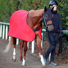 【注目馬動向】サウジアラビアＲＣの勝ち馬エコロアルバはＮＨＫマイルＣへ　鞍上は横山和生騎手