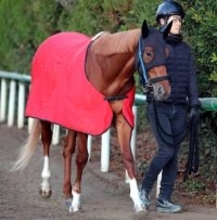 【注目馬動向】サウジアラビアＲＣの勝ち馬エコロアルバはＮＨＫマイルＣへ　鞍上は横山和生騎手