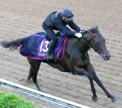 【日本ダービー・日曜気配】パントルナイーフは坂路で自己ベストを更新　陣営「レース後のダメージなかった」