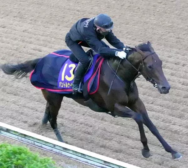 【日本ダービー・日曜気配】パントルナイーフは坂路で自己ベストを更新　陣営「レース後のダメージなかった」