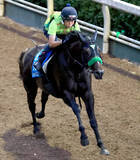 「【中京記念】サトノシャイニングとコレット騎手は６枠１２番　ナムラコスモスと田口貫太騎手は５枠１０番に決定」の画像1