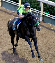 【中京記念】サトノシャイニングとコレット騎手は６枠１２番　ナムラコスモスと田口貫太騎手は５枠１０番に決定