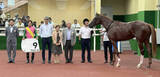 「【中京２Ｒ・２歳新馬】マルカルーカスが上がり最速でまとめて差し切る　幸英明騎手「伸びしろがあると思います」」の画像1