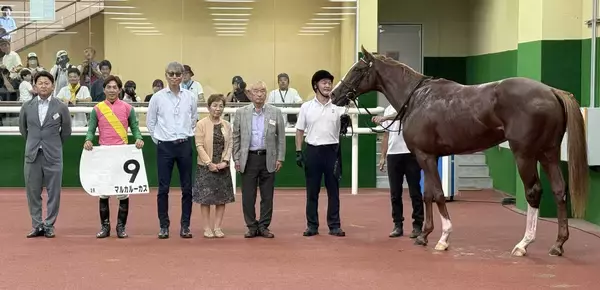 【中京２Ｒ・２歳新馬】マルカルーカスが上がり最速でまとめて差し切る　幸英明騎手「伸びしろがあると思います」