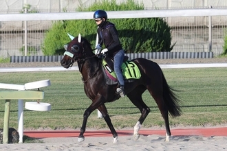日曜中京競馬場の注目激走馬…中京７Ｒ中京２歳ステークス・Ｇ３