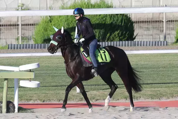 日曜中京競馬場の注目激走馬…中京７Ｒ中京２歳ステークス・Ｇ３