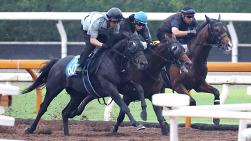 【チャレンジＣ】センツブラッドは状態良好　斉藤崇調教師も「馬場が悪くても頑張ったと思います」と納得の追い切り