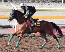【秋華賞・１週前】桜花賞２着馬ギャラボーグは活気ある動き　杉山晴調教師「春先と比べても…」