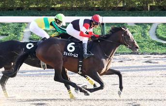 【ペルセウスＳ】豪脚で復活Ⅴのジェイパームス、昨年の同レース以来の勝利に大野拓弥騎手「地力がある馬」