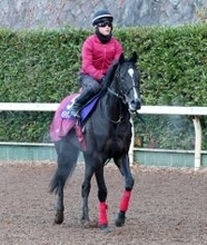 【ホープフルＳ】萩Ｓ勝ちバドリナートは昨年Ｖクロワデュノールと同じ３枠６番　陣営「偶数ですし、外過ぎないのもいい」