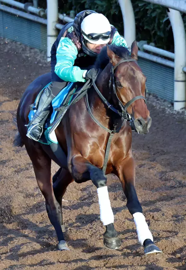 【京都金杯】キープカルムはパワフルに登坂　中竹調教師「ずっと乗っている助手が弾んで良かったですよと」