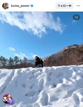 宇多田ヒカル、無邪気な雪遊びショット！「微笑ましい気持ちになりました」「童心にかえりますよね」