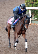 【紅梅Ｓ】武豊騎手と初コンビのプリンセスモコ　陣営「スピードを生かして頑張ってほしい」