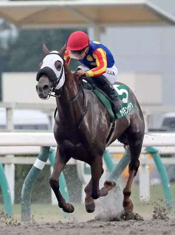 【プロキオンＳ】明け６歳のサイモンザナドゥが重賞初Ｖへ　小林調教師「今年から本格化です」