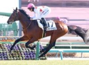 【中山５Ｒ・３歳未勝利】キング騎手早くも今日３勝目　ミッキークイーンの子ミッキーファルコンで未勝利勝ち