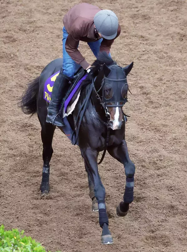 【皐月賞】毎日杯Ｖのアルトラムスは中２週も落ち着き十分　１４年覇者で父のイスラボニータに続く