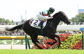 「噂通りの強さ」「普通じゃないなこれ」新馬戦開幕週を３３秒３の末脚で勝ったフィリオソラーレにＳＮＳ高評価