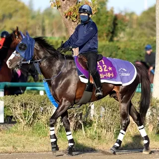 マスカレードボール、ヴェルテンベルクなど３７頭　英Ｇ１のキングジョージ６世＆クイーンエリザベスＳ登録馬発表