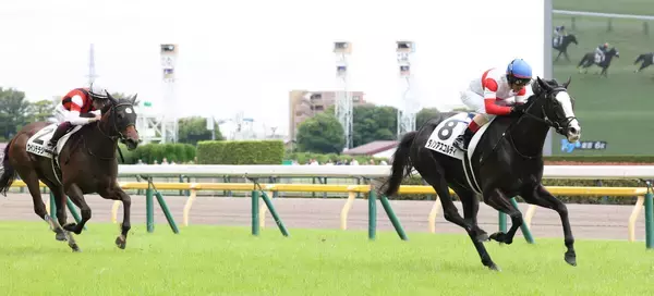 【東京６Ｒ】“４億円馬”ダノンアスコルティが４戦目で待望の初勝利　ルメール騎手「キタサンブラックの子供だから…」