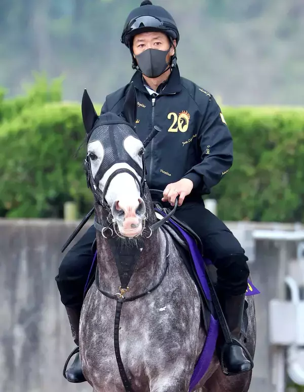【注目馬動向】アドマイヤテラが凱旋門賞に参戦へ　友道調教師「力の要る馬場は合っている」　メイショウタバルも出走予定　