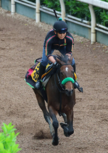 【関屋記念】逃げた８番人気クランフォードが健闘２着　「作戦通りの競馬」４度目の重賞挑戦で初連対に菊沢一樹騎手
