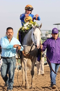 「ザ・チャンプにもう一度敬意を表しましょう」Ｇ１・４勝ホワイトアバリオが現役引退　２３年ＢＣクラシックで日本馬撃破　