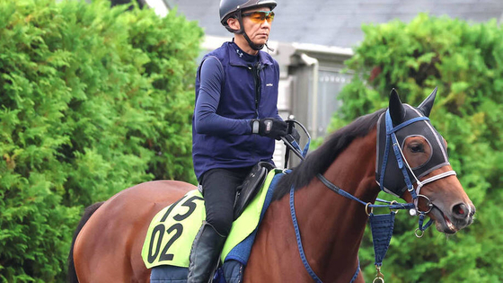 【注目馬動向】単勝１・２倍の野路菊Ｓでまさかの３着…ジーティーサクラは放牧へ　吉岡調教師「競馬場での気持ちの乗りが…」