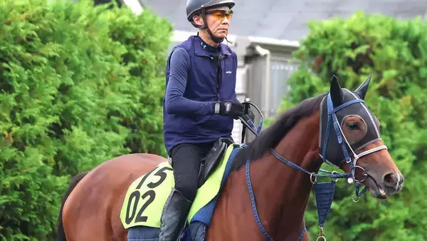 【注目馬動向】単勝１・２倍の野路菊Ｓでまさかの３着…ジーティーサクラは放牧へ　吉岡調教師「競馬場での気持ちの乗りが…」