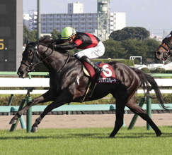２４年紫苑ＳをレコードＶのクリスマスパレードが登録抹消　繁殖牝馬になる予定も繋養先は未定