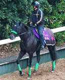 「【京阪杯】昨年のスプリンターズＳ覇者ルガルは１枠１番　武豊騎手のナムラクララは６枠１２番　枠順決定」の画像1