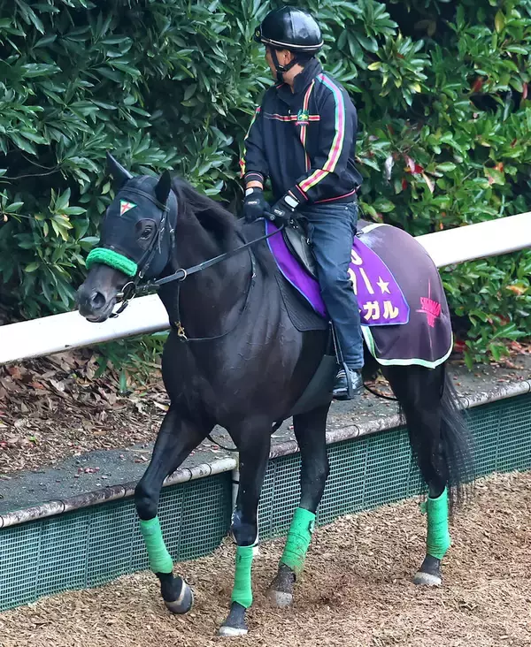 【京阪杯】昨年のスプリンターズＳ覇者ルガルは１枠１番　武豊騎手のナムラクララは６枠１２番　枠順決定