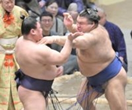 関脇・高安、義ノ富士を突き出して７勝目　トップと１差で残り５日「ベストを尽くして持てる力を出し切りたい」