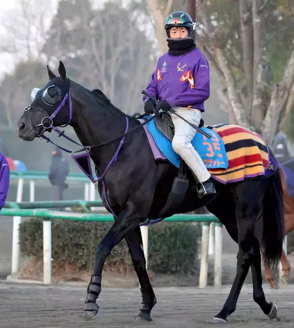 【東京新聞杯】前走で鋭い脚を見せたトロヴァトーレが東京替わりで好機到来　鹿戸調教師「広いコースの方がいい」
