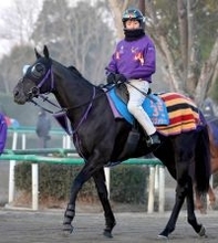 【東京新聞杯】前走で鋭い脚を見せたトロヴァトーレが東京替わりで好機到来　鹿戸調教師「広いコースの方がいい」