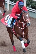 【リヤドダートスプリント】「使った俺が間違いだった」矢作調教師が反撃に燃える　前走１１着のアメリカンステージ