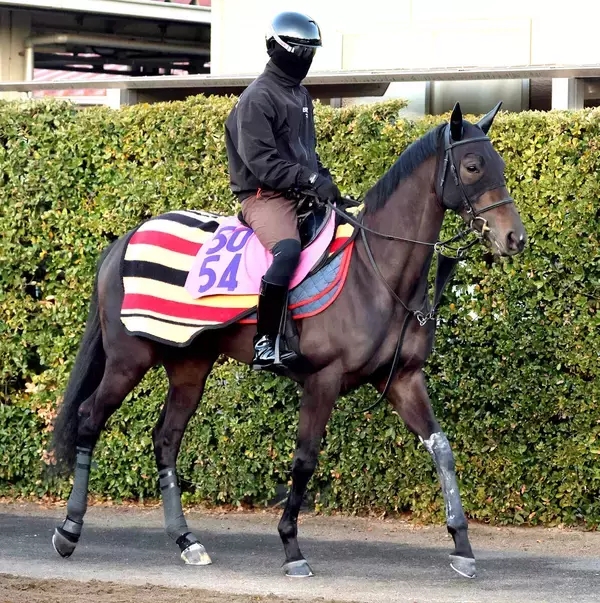 【フラワーＣ】偉大な兄イクイノックスを超える！　全妹イクシードが新馬Ｖ以来５か月半ぶりで重賞初挑戦