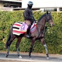 【フラワーＣ】偉大な兄イクイノックスを超える！　全妹イクシードが新馬Ｖ以来５か月半ぶりで重賞初挑戦