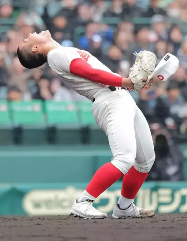 Novinhas do facebook 