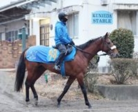 【注目馬動向】アーモンドアイの子アロンズロッド　転厩初戦の明石特別に向け来週栗東へ移動