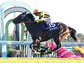 「あまりにも突然過ぎない？！」「大物種牡馬になりそう」最強マイラーの電撃引退にネット驚きとねぎらいの声続出